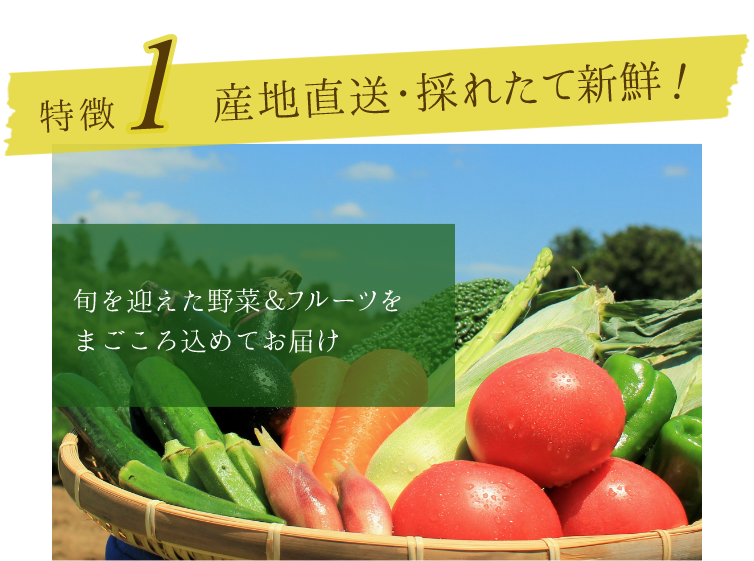 産地直送・採れたて新鮮!