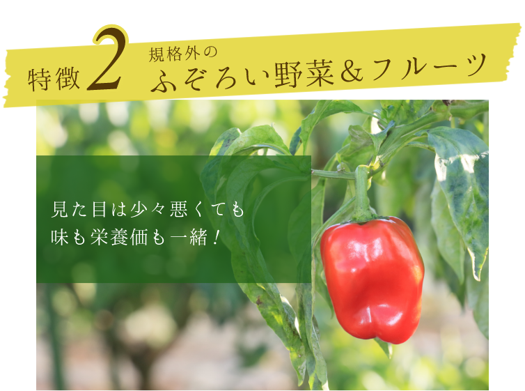 規格外のふぞろい野菜＆フルーツ