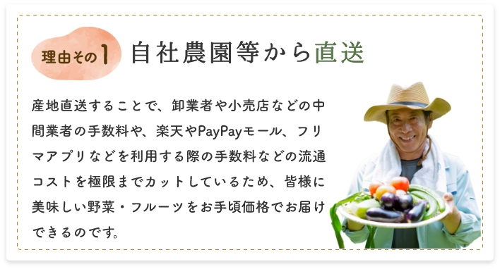 自社農園等から直送